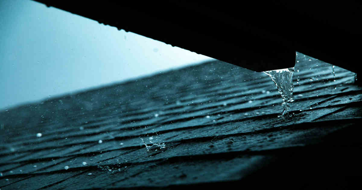 Rain