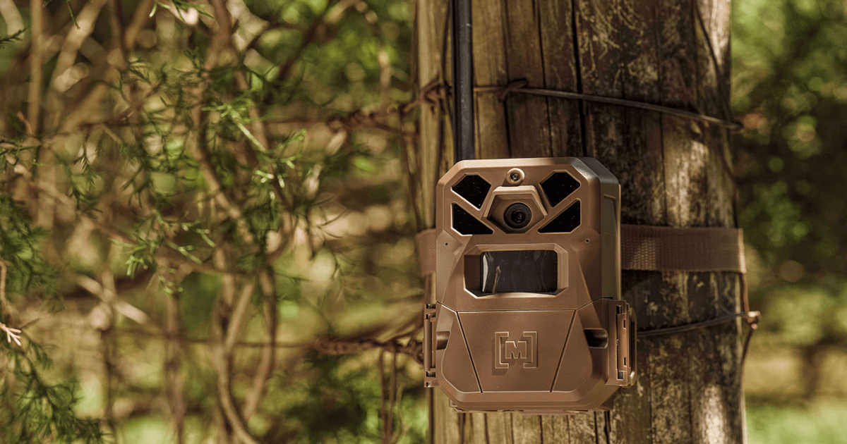Trail camera