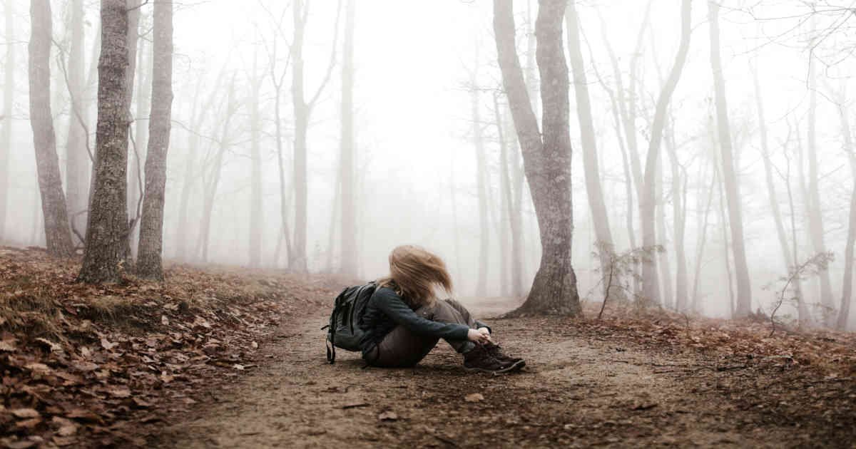 Lost in the woods