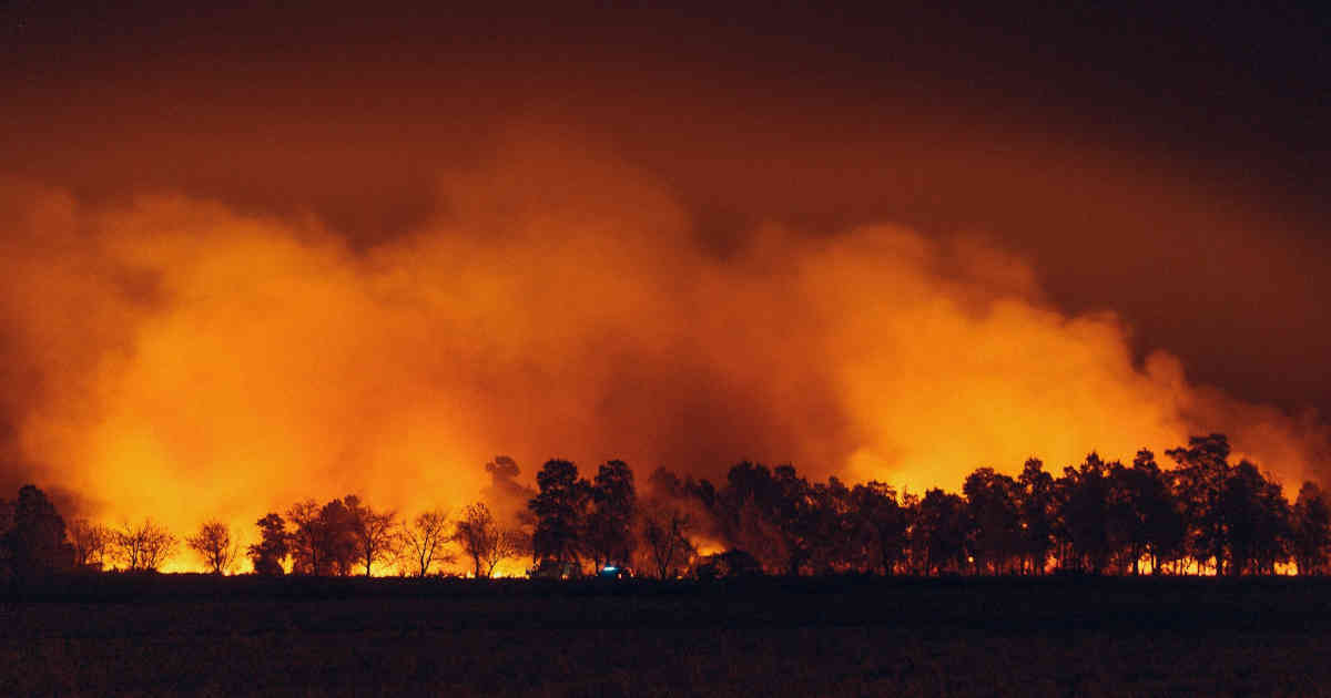 wildfire